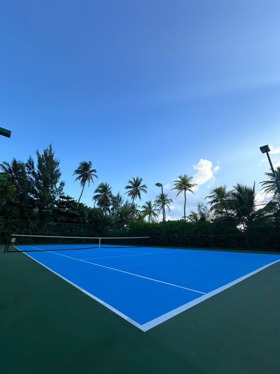 Resort tennis court at dusk with palm trees