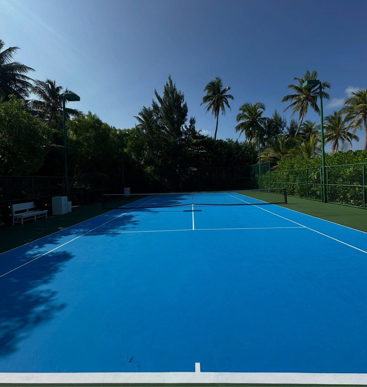 Blue hard court surrounded by tropical palms